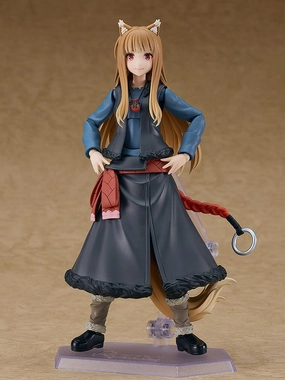 figma Holo Cartoon Figure Special Edition