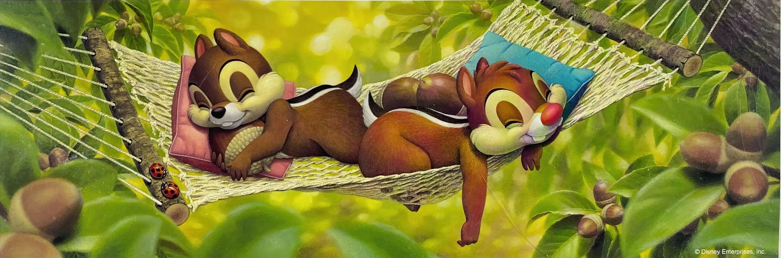 Local Favorite Tenyo D-950-563??Hammock Holiday??950 Pieces Jigsaw Puzzle